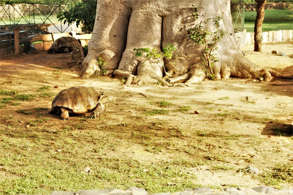 Africa 6 Plage Somone Eksteriør bilde
